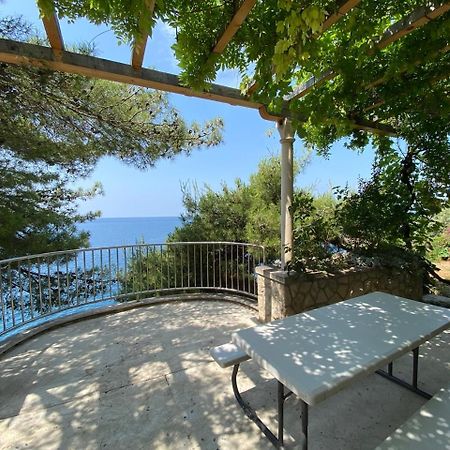 Charming Seafront Stay At Villa Mara Dubrovnik Exteriör bild